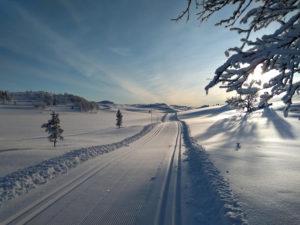 cross country skiing in norway