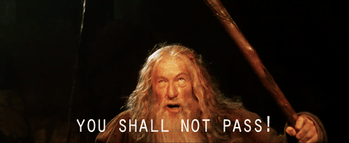 Znalezione obrazy dla zapytania you shall not pass