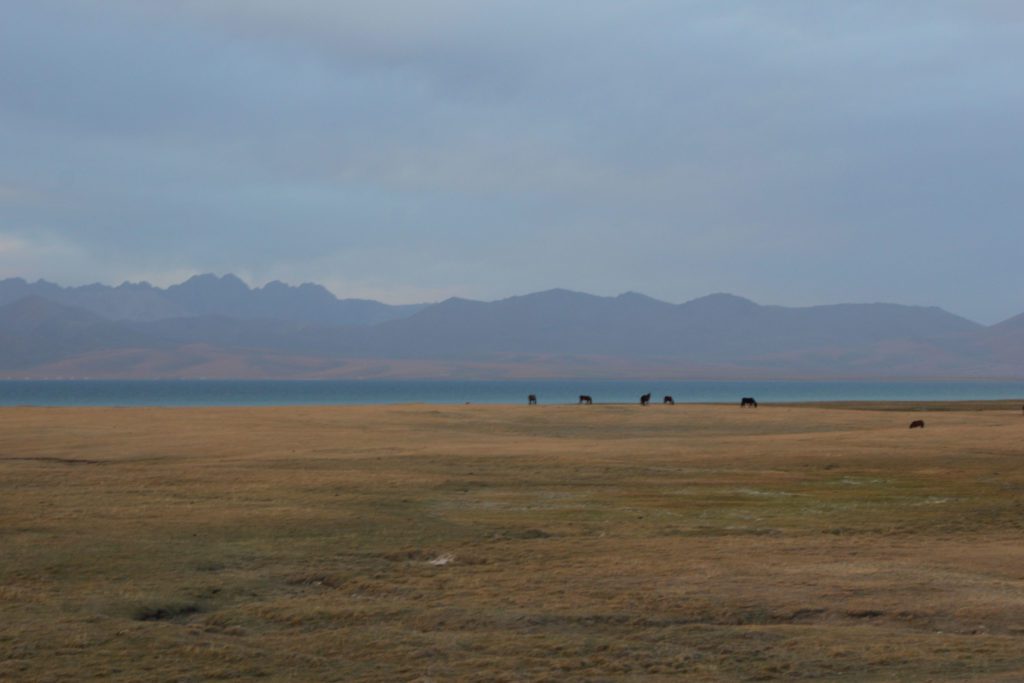 Southern shore of Song Kul