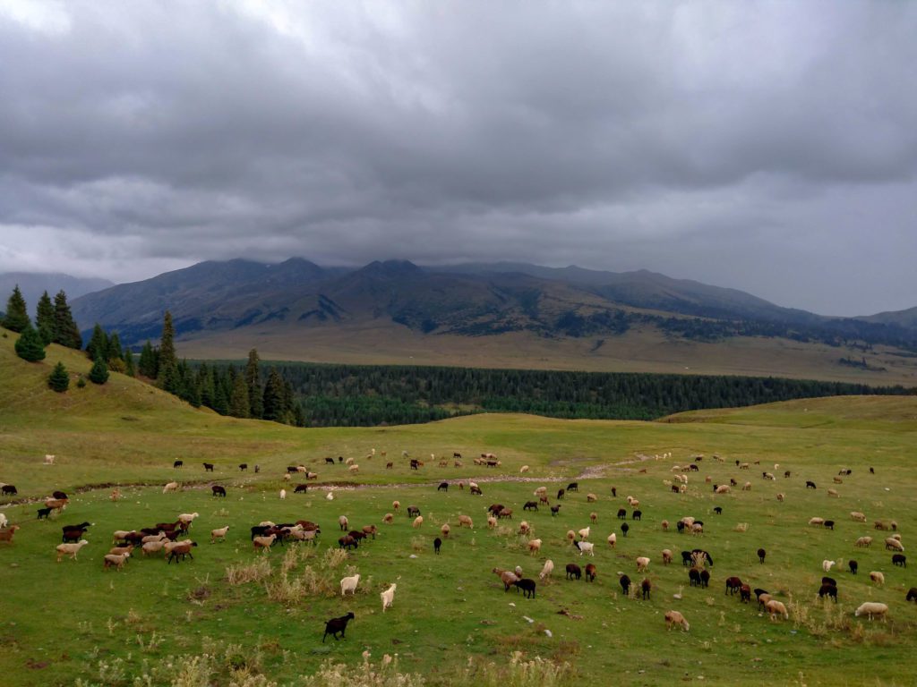 hiking in jyrgalan