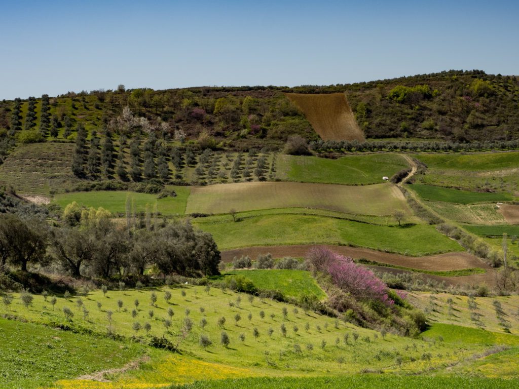 spring in albania