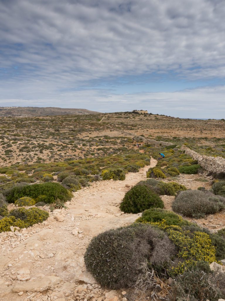 hiking in comino