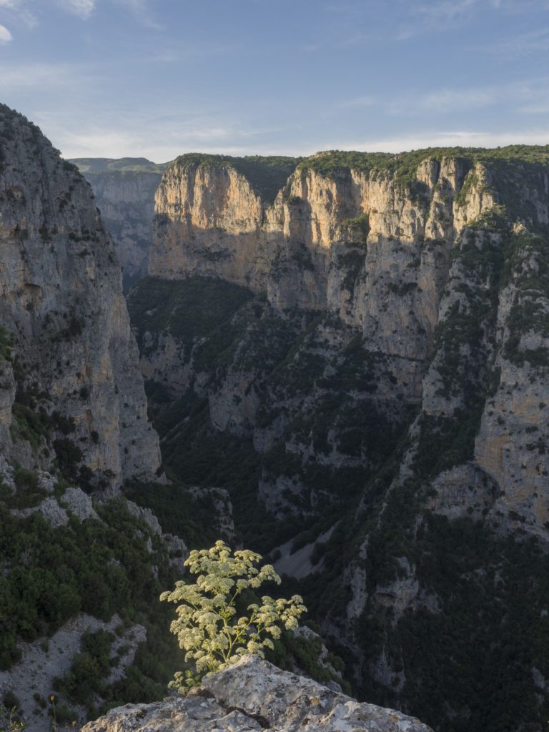 vikos gorge