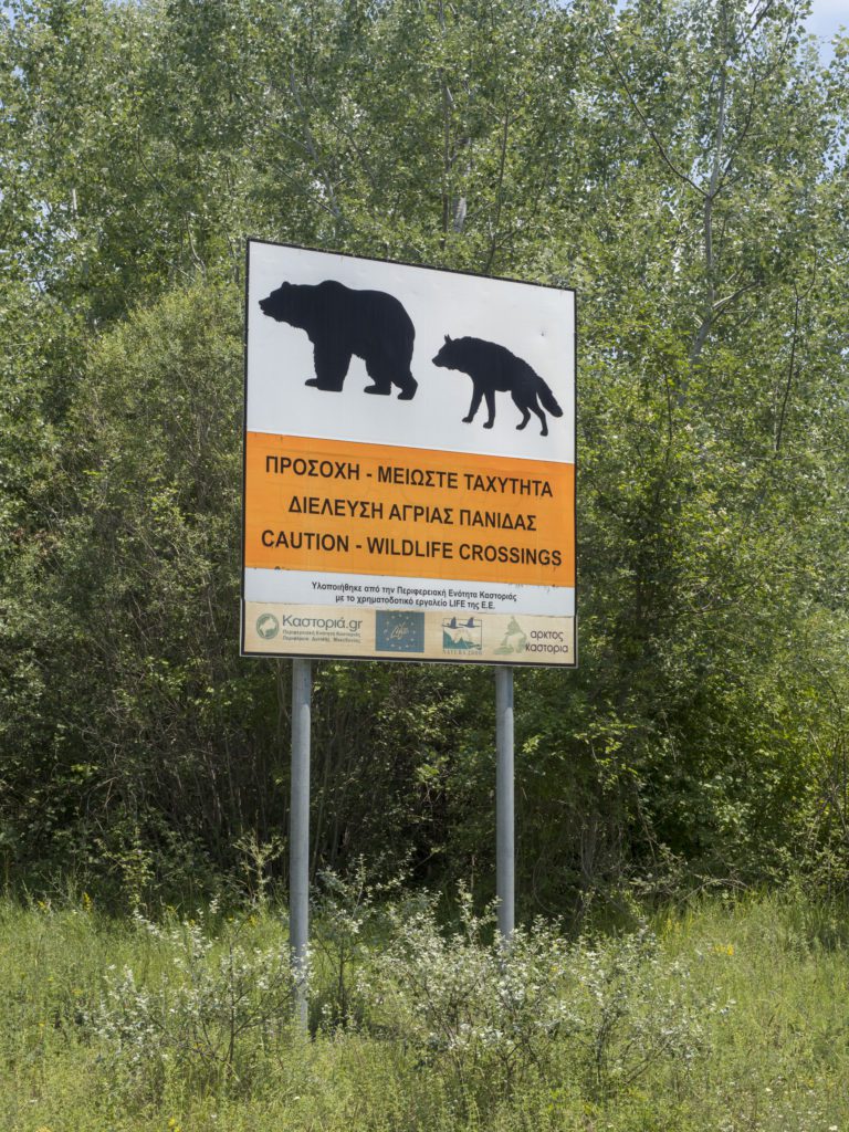 bears in greece