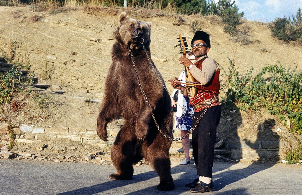 bulgaria's dancing bears