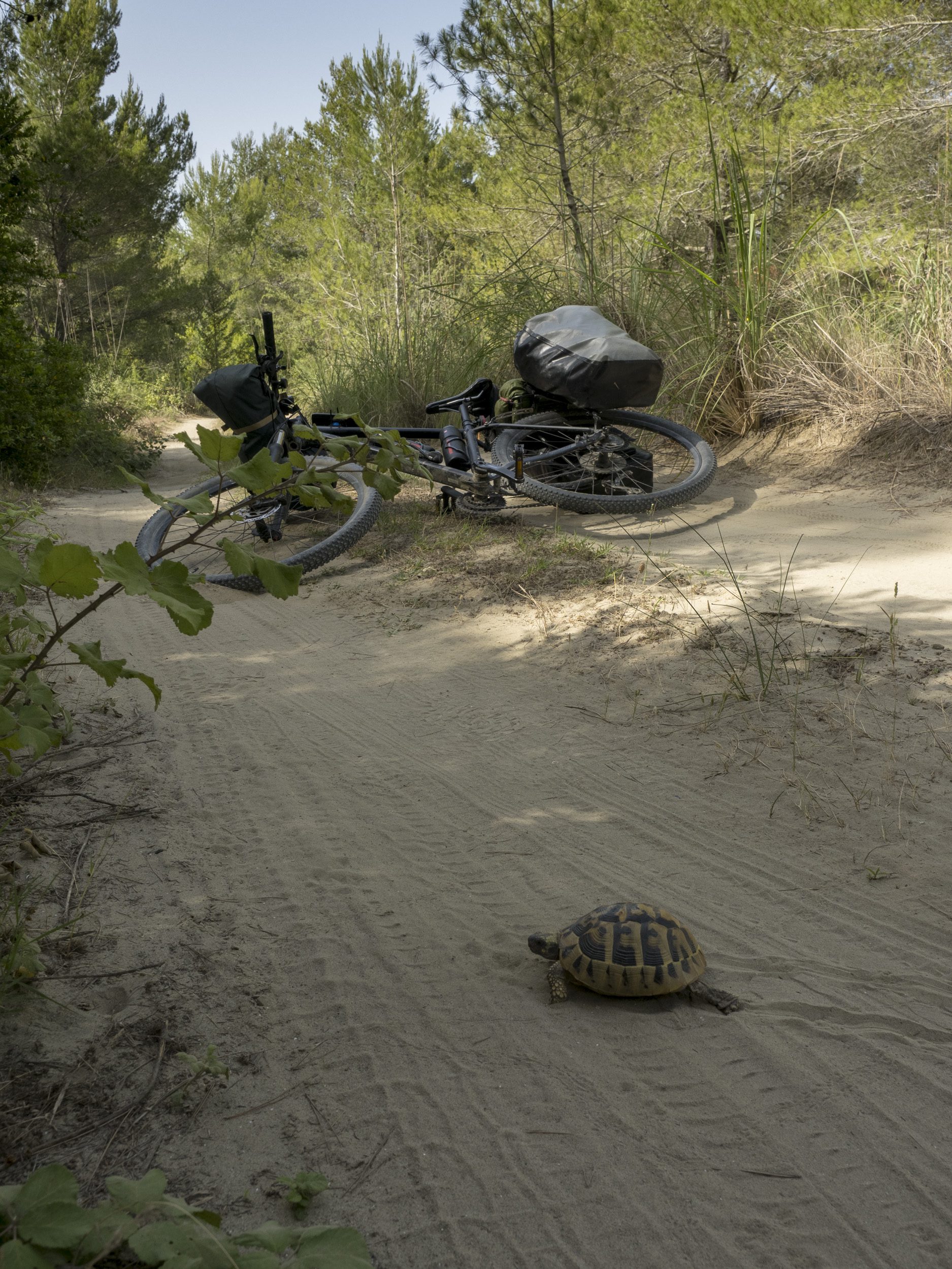 Cycling in Divjake-Karavasta National Park