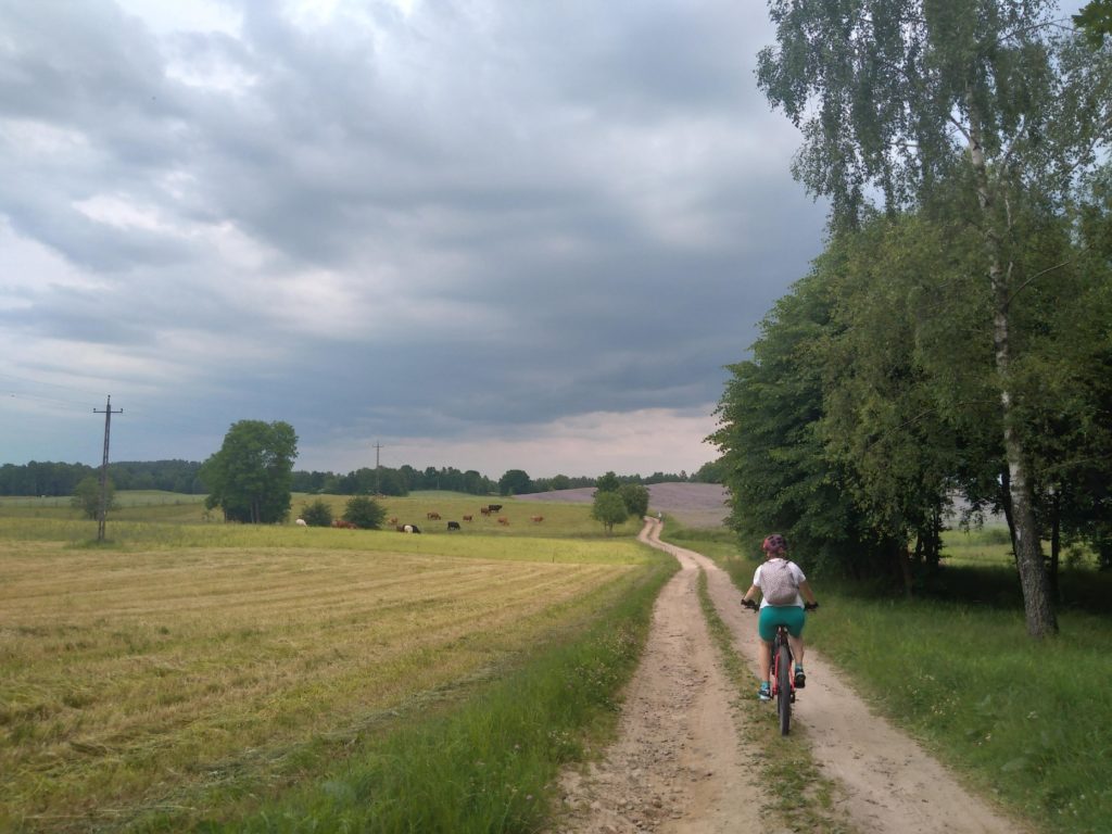 training for a bicycle tour