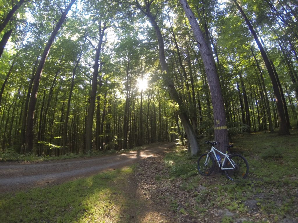 cycling in Poland